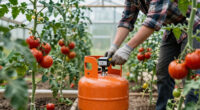 11 Best Greenhouse Heaters for Tomato Houses in 2026