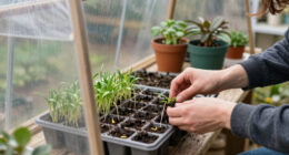 11 Best Greenhouse Kits for Winter Seed Starting in 2026