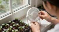 12 Best Greenhouse Fans for Seedling Airflow in 2026