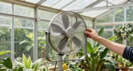 14 Best Cooling Upgrades for Sun-Heavy Greenhouses in 2026