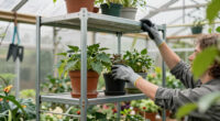 14 Best Rustproof Greenhouse Shelving in 2026