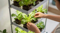 6 Best Vertical Growing Systems for Protected Spaces in 2026