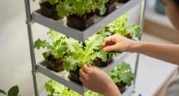 6 Best Vertical Growing Systems for Protected Spaces in 2026