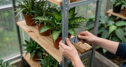 8 Best Vertical Plant Racks for Greenhouses in 2026