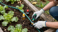 9 Best Fertigation Tools for Backyard Growers in 2026