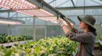 9 Best Full Spectrum Grow Lights for Greenhouses in 2026