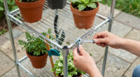 9 Best Greenhouse Kits With Shelving Space in 2026