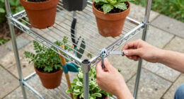 9 Best Greenhouse Kits With Shelving Space in 2026