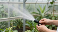 9 Best Greenhouse Misting Systems in 2026