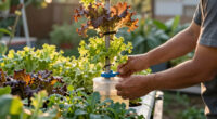 9 Best Hydroponic Towers With Reservoirs in 2026