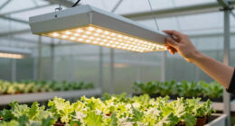 9 Best Quantum Board Grow Lights for Greenhouses in 2026