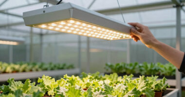 9 Best Quantum Board Grow Lights for Greenhouses in 2026