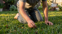 The Environmental Movement Needs to Touch Grass