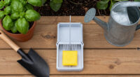 15 Best Fly Traps in 2026