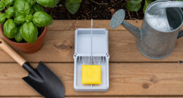 15 Best Fly Traps in 2026
