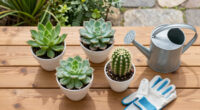 20 Plants That Thrive Even When Temperatures Rise