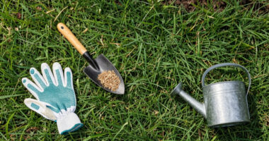 How to Fix Bare Spots in Your Lawn