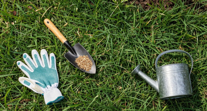 How to Fix Bare Spots in Your Lawn