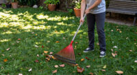 Raking It In