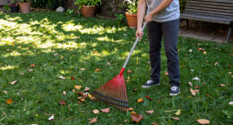 Raking It In