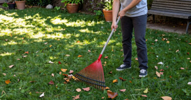 Raking It In