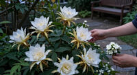 These 7 Night-Scented Flowers Make Your Garden Smell Incredible After Dark – Especially In Summer Heat