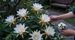 These 7 Night-Scented Flowers Make Your Garden Smell Incredible After Dark – Especially In Summer Heat