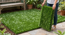 11 Best Lawn Alternatives in 2026