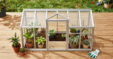 11 Best Outdoor Greenhouse Kits in 2026