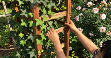 13 Best Garden Trellises in 2026