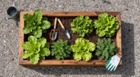 13 Best Raised Garden Beds in 2026