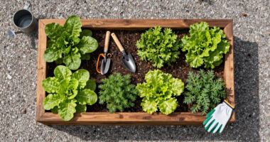 13 Best Raised Garden Beds in 2026