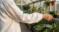 14 Best Blouson Sleeve Blouses in 2026
