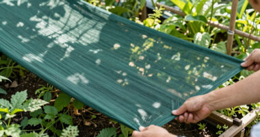 14 Best Garden Shade Cloths in 2026