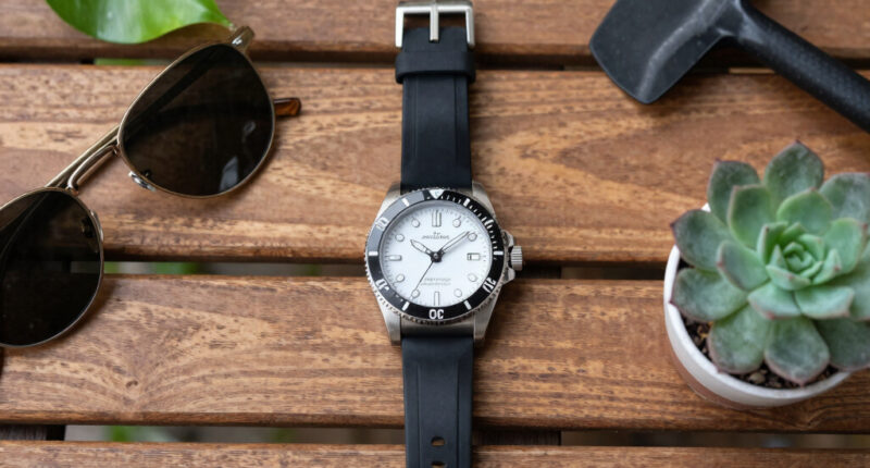 15 Best Dive Watches in 2026