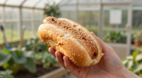 15 Best Hot Dog Buns in 2026