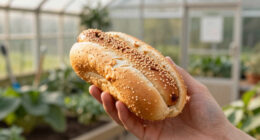 15 Best Hot Dog Buns in 2026