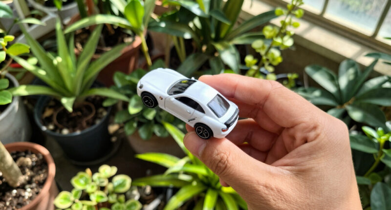15 Best Hot Wheels Collectible Cars in 2026