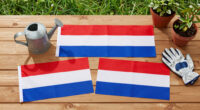 15 Best Patriotic Garden Flags in 2026