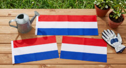 15 Best Patriotic Garden Flags in 2026