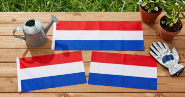 15 Best Patriotic Garden Flags in 2026