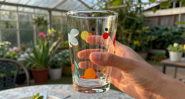 7 Best Animation-Inspired Drinkware in 2026