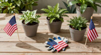 7 Best Patriotic Garden Planters in 2026