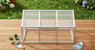 8 Best Garden Greenhouse Kits in 2026
