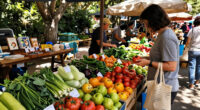 Bustling Street Culture Marketplaces