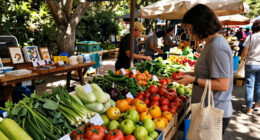 Bustling Street Culture Marketplaces