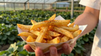 Dry-Rub French Fries