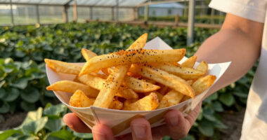 Dry-Rub French Fries
