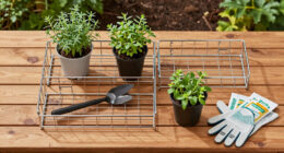 Greenhouse Shelving Organizers: A Back to school Guide