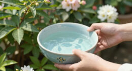 Help Bees Survive the Heat – Turn a Saucer Into a Summer Lifeline in Just Minutes